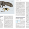 Handbook of the Mammals of the World - Volume 8 - 图片 6
