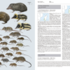 Handbook of the Mammals of the World - Volume 8 - 图片 9