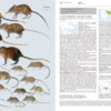 Handbook of the Mammals of the World - Volume 8 - 图片 10