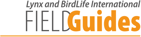 Logotip de la col·lecció de guies de camp internacionals de Lynx i BirdLife