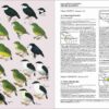 Handbook of the Birds of the World - Volume 9 - Imagen 4