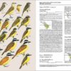 Handbook of the Birds of the World - Volume 9 - Imagen 11