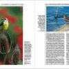 Handbook of the Birds of the World - Volume 9 - Imagen 7