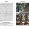 Bowerbirds - Imagen 3