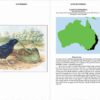 Bowerbirds - Imagen 6