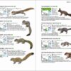 Mammals of China - Imagen 3