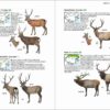 Mammals of China - Imagen 5