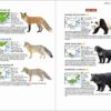 Mammals of China - Imagen 6