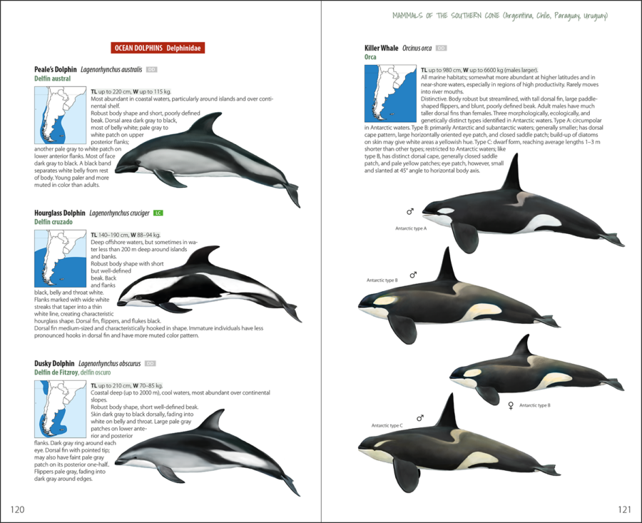 Mammals of the Southern Cone