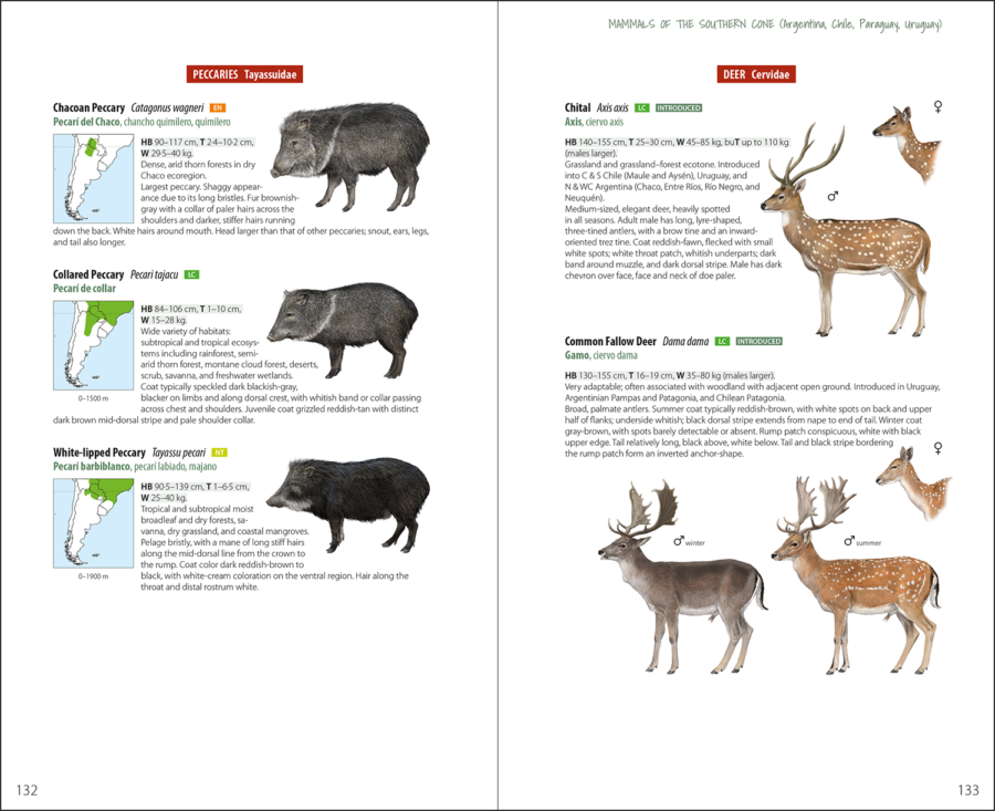 Mammals of the Southern Cone