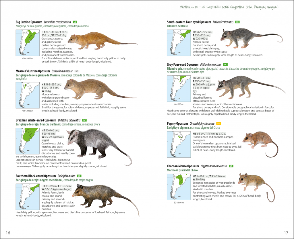 Mammals of the Southern Cone