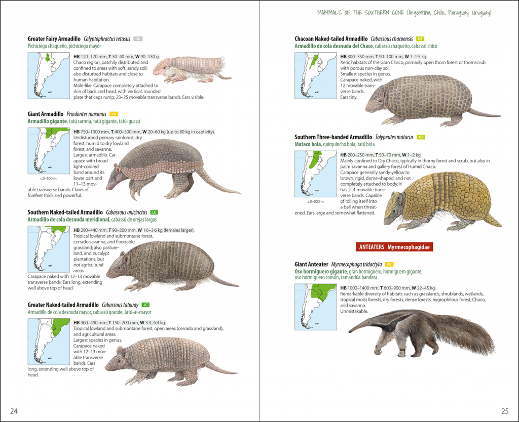 Mammals of the Southern Cone