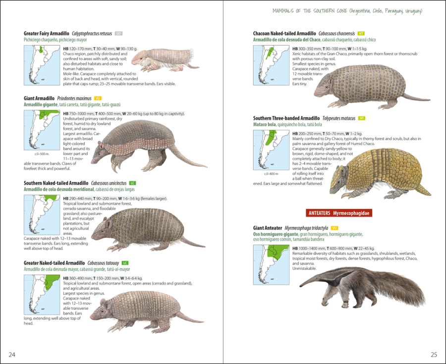 Mamífers del Con Sud