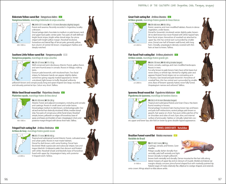 Mammals of the Southern Cone