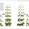 Rewilding Iberia - Image 4