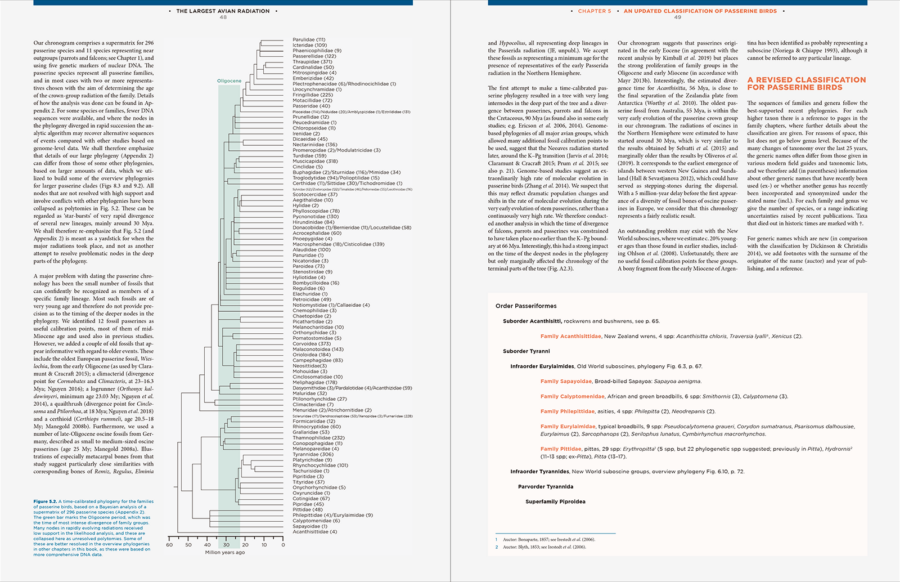 The Largest Avian Radiation - The Evolution of Perching Birds, or the Order Passeriformes | Jon Fjeldså | Lynx Edicions | Lynx Nature Books