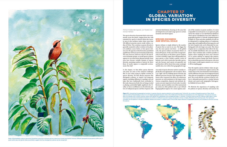 La radiació aviària més gran: l'evolució dels ocells posats, o l'ordre dels passeriformes | Jon Fjeldså | Lynx Edicions | Llibres de natura Lynx