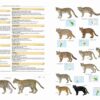 Illustrated Checklist of the Mammals of the World - 图片 13