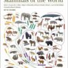 Illustrated Checklist of the Mammals of the World - 图片 5