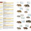 Illustrated Checklist of the Mammals of the World - 图片 17