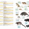 Illustrated Checklist of the Mammals of the World - 图片 18