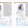 European Breeding Bird Atlas 2 - Imagen 9