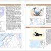 Atlas Europeo de Aves Reproductoras 2