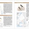 European Breeding Bird Atlas 2 - Imagen 6