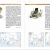 European Breeding Bird Atlas 2 - Imagen 7