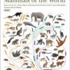 Illustrated Checklist of the Mammals of the World - 图片 3
