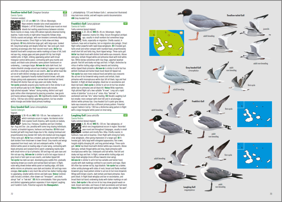 birds and mammals of the galapagos; ornithology book; field guide to the birds; bird guides; bird identification book