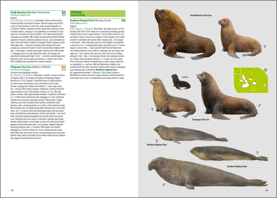 aves y mamíferos de galápagos; libro de ornitología; guía de campo de las aves; guías de aves; libro de identificación de aves