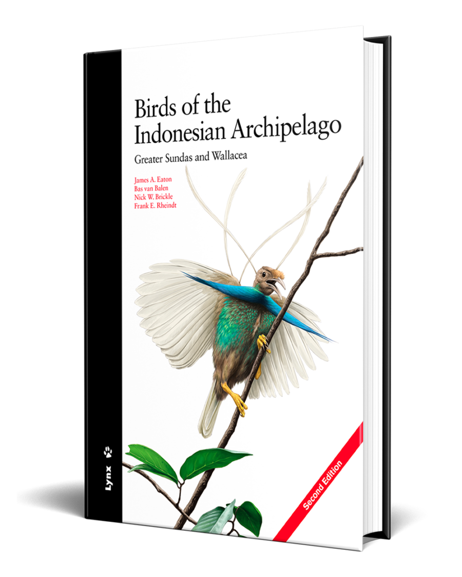 aves del archipiélago indonesio; aves de Indonesia; guías de aves; guía de campo de las aves