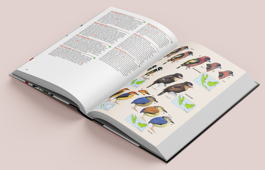 birds of the Indonesian archipelago; birds of Indonesia; bird guides; field guide to the birds