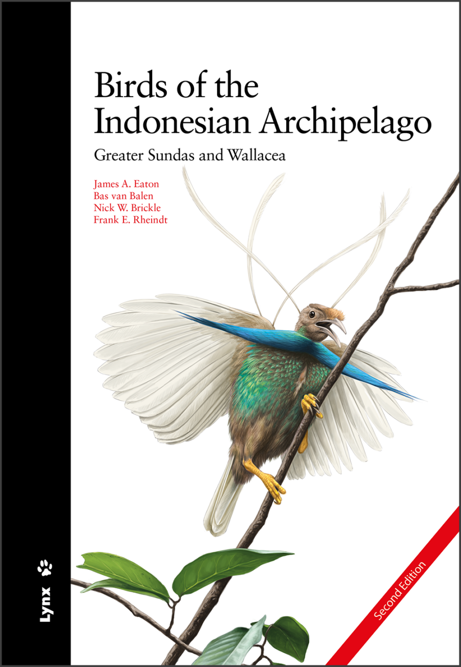 aves del archipiélago indonesio; aves de Indonesia; guías de aves; guía de campo de las aves