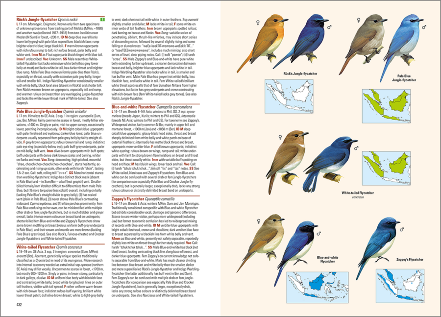 aves del archipiélago indonesio; aves de Indonesia; guías de aves; guía de campo de las aves