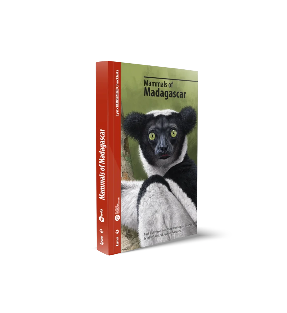 mammals-madagascar-lynx-