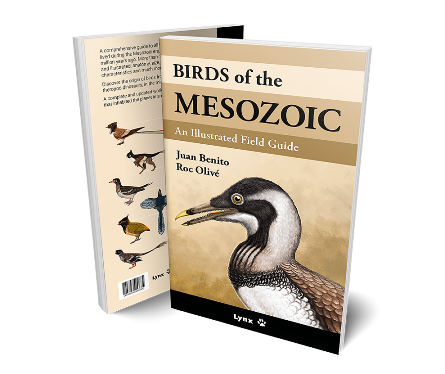 Ocells del Mesozoic | Llibres de natura Lynx