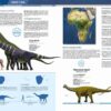 Récords y curiosidades de los dinosaurios - Imatge 5