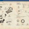 Récords y curiosidades de los dinosaurios - Imatge 6