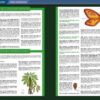 Récords y curiosidades de los dinosaurios - Imatge 8