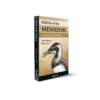 Birds of the Mesozoic