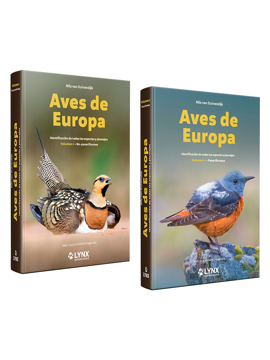 Aves de Europa - Identificación de todas las especies y plumajes | Lynx Nature Books