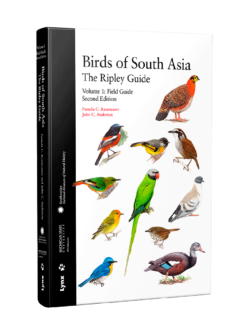 Aves de Asia Meridional La Guía Ripley - Volumen 1: Guía de campo
