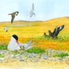 Seabirds Count Lynx Nature Books