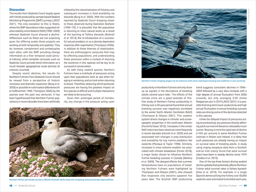 Seabirds Count Lynx Nature Books