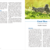 Seabirds Count Lynx Nature Books