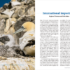 Seabirds Count Lynx Nature Books