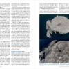 Seabirds Count Lynx Nature Books