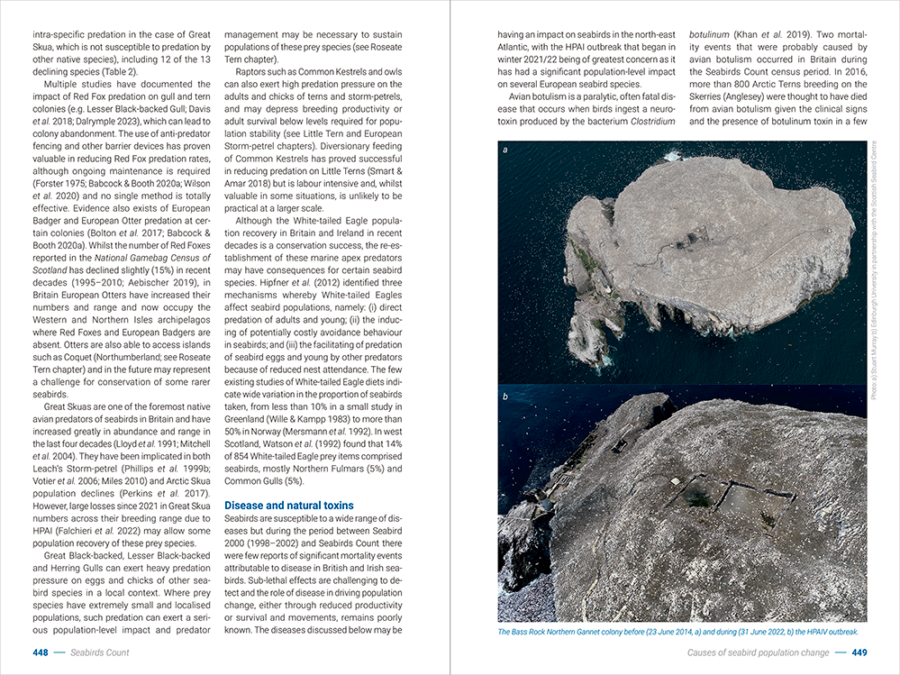 Seabirds Count Lynx Nature Books